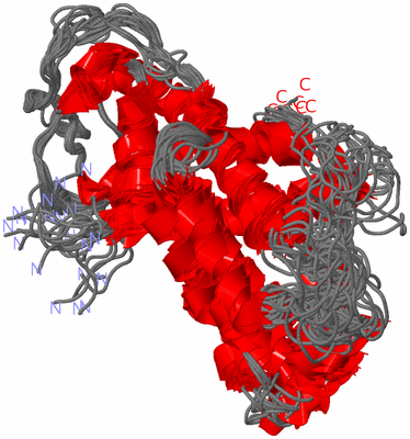 Image NMR Structure - all models