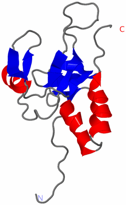 Image NMR Structure - model 1