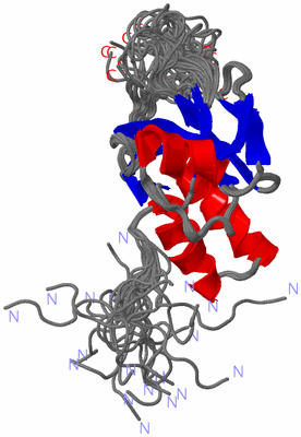 Image NMR Structure - all models