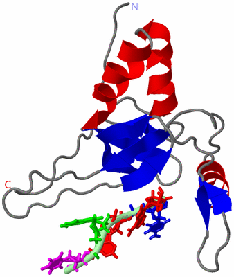 Image NMR Structure - model 1