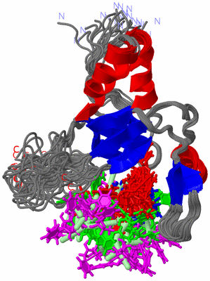 Image NMR Structure - all models