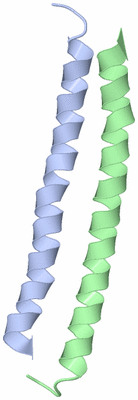 Image NMR Structure - model 1