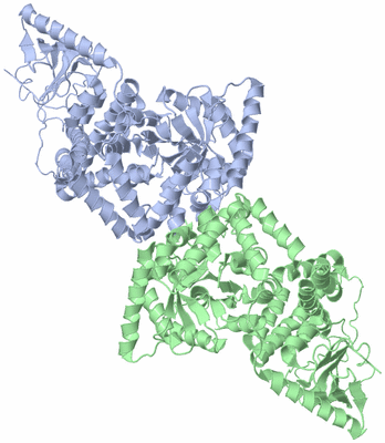 Image NMR Structure - model 1