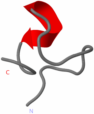 Image NMR Structure - model 1