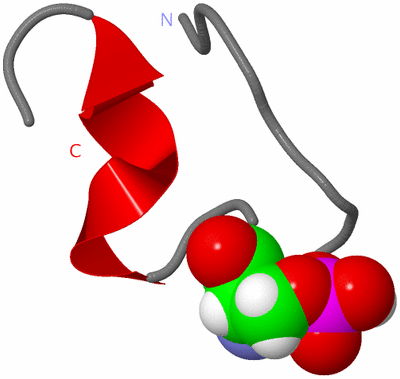 Image NMR Structure - model 1