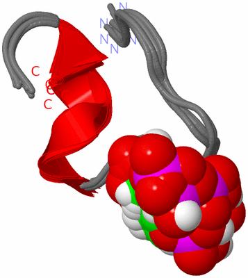 Image NMR Structure - all models