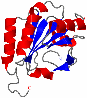 Image NMR Structure - model 1