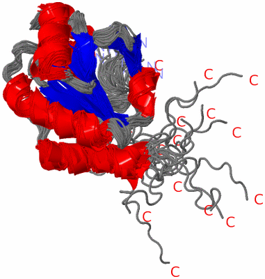 Image NMR Structure - all models