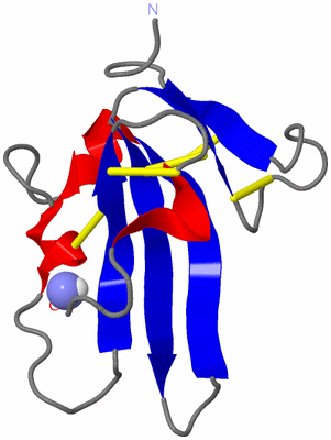 Image NMR Structure - model 1