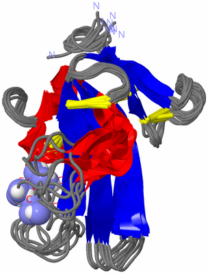 Image NMR Structure - all models