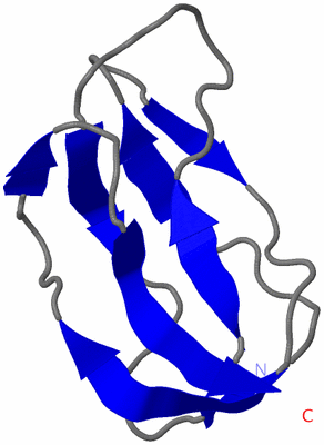 Image NMR Structure - model 1