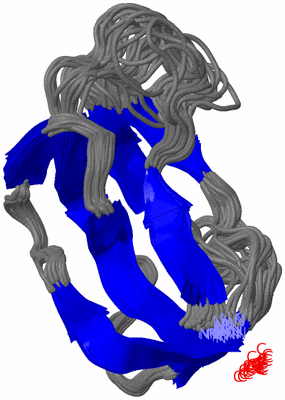 Image NMR Structure - all models