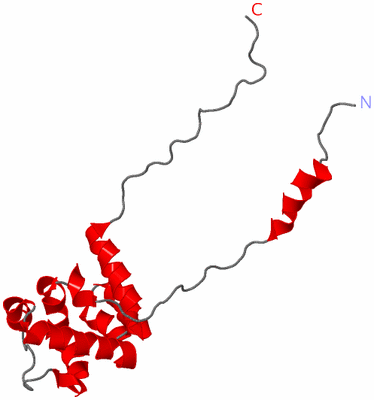 Image NMR Structure - model 1