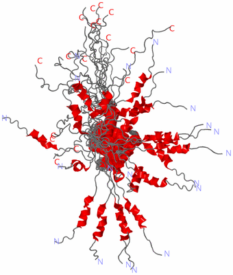 Image NMR Structure - all models