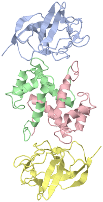 Image NMR Structure - model 1