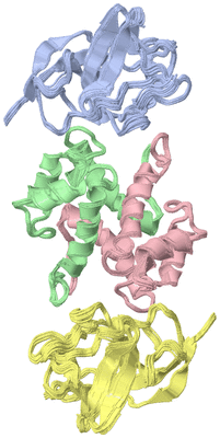 Image NMR Structure - all models