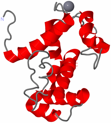 Image NMR Structure - model 1