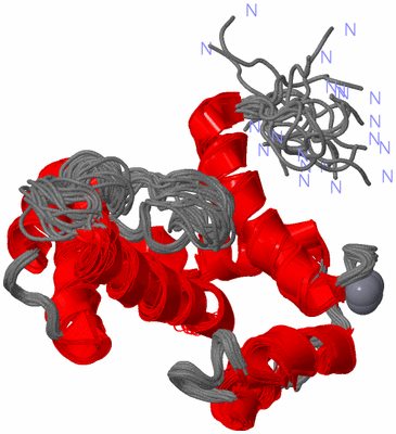 Image NMR Structure - all models