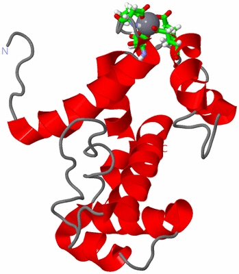 Image NMR Structure - model 1, sites