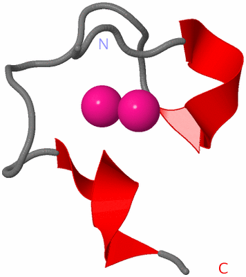 Image NMR Structure - model 1