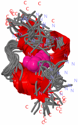 Image NMR Structure - all models