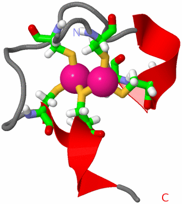 Image NMR Structure - model 1, sites