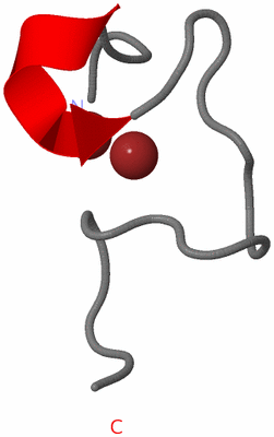 Image NMR Structure - model 1