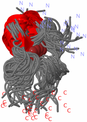 Image NMR Structure - all models