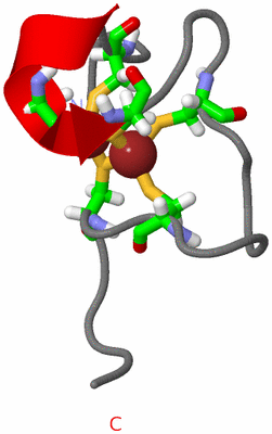 Image NMR Structure - model 1, sites