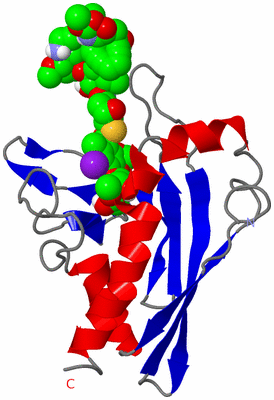 Image NMR Structure - model 1