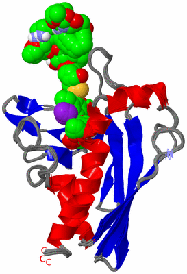 Image NMR Structure - all models