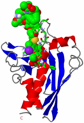 Image NMR Structure - model 1, sites