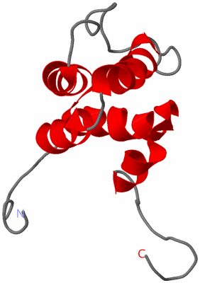 Image NMR Structure - model 1