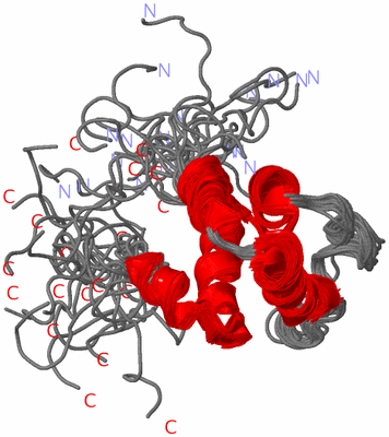 Image NMR Structure - all models