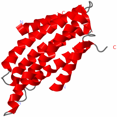 Image NMR Structure - model 1