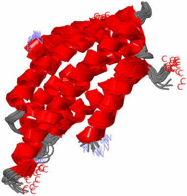 Image NMR Structure - all models