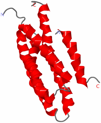 Image NMR Structure - model 1