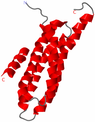 Image NMR Structure - model 1