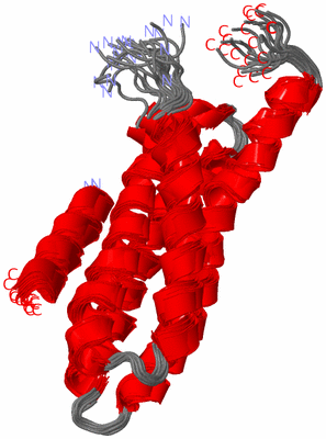 Image NMR Structure - all models