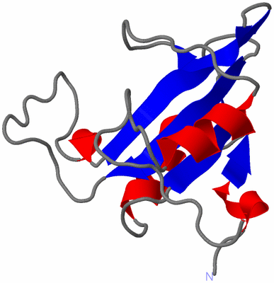 Image NMR Structure - model 1