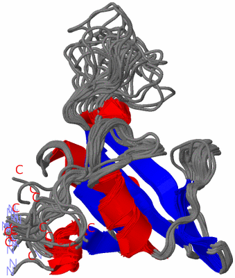 Image NMR Structure - all models