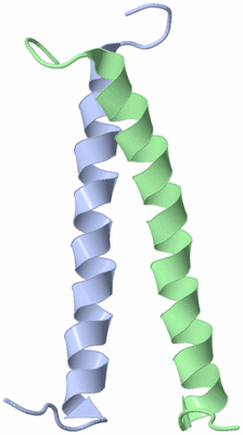 Image NMR Structure - model 1