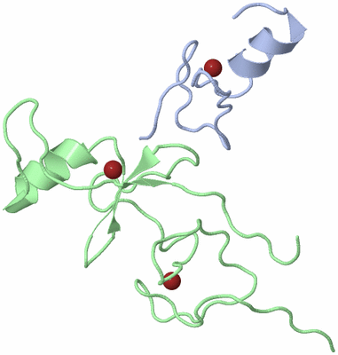 Image NMR Structure - model 1