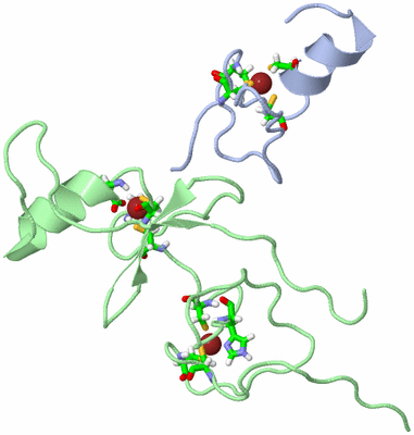 Image NMR Structure - model 1, sites