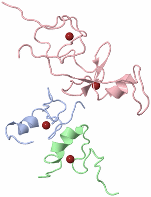 Image NMR Structure - model 1