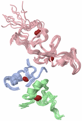 Image NMR Structure - all models