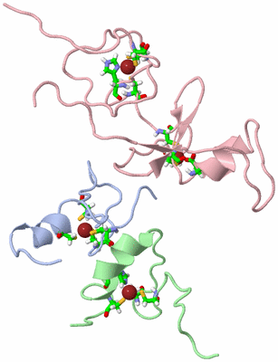 Image NMR Structure - model 1, sites