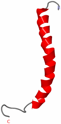 Image NMR Structure - model 1