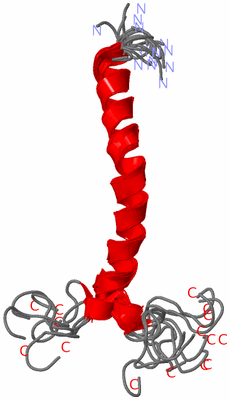 Image NMR Structure - all models