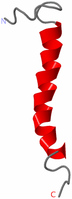 Image NMR Structure - model 1